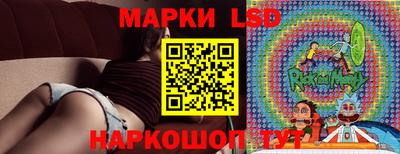 гидропоника Новозыбков