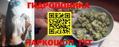 молекула духа Новодвинск