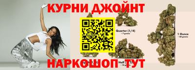 молекула духа Новодвинск