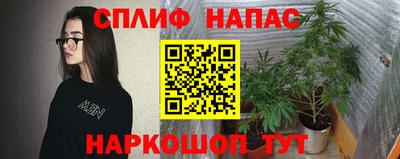 молекула духа Новодвинск