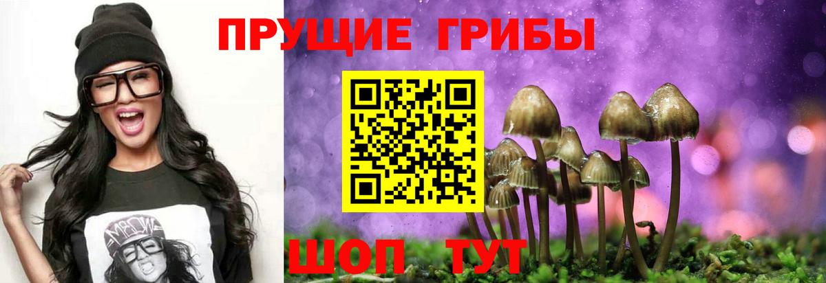 Энгельс  Галлюциногенные грибы ЛСД  Вход с VPN 